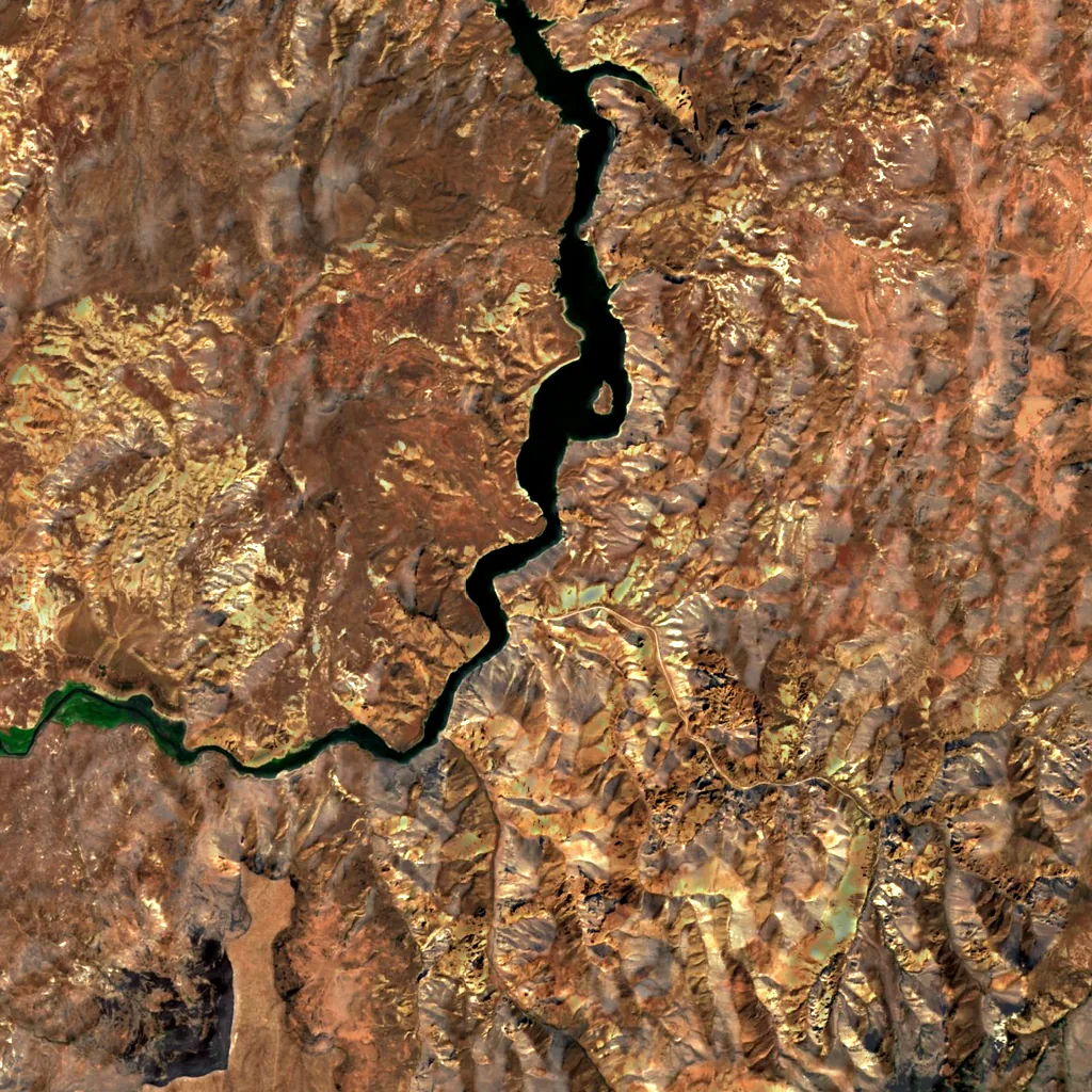 Leslie Gulch seen from above (Sentinel-2)
