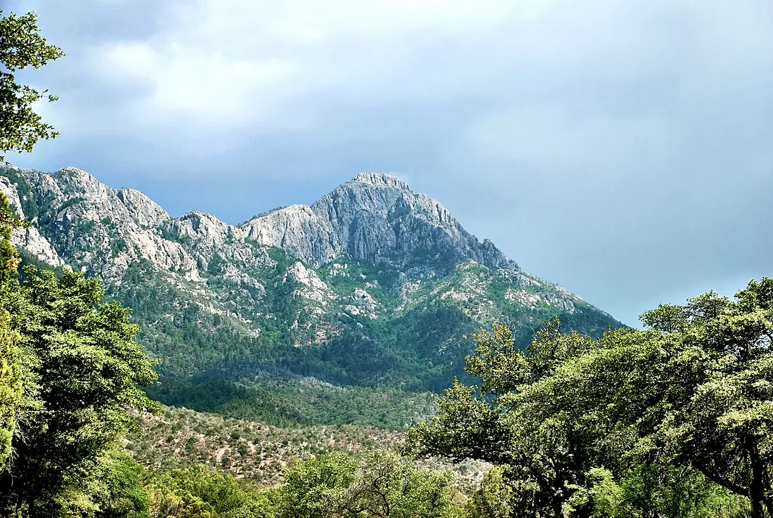 Mount Wrightson from Madera Canyon