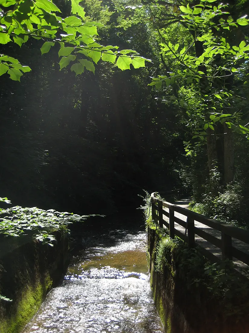 Maisinger Schlucht - Maisinger Bach mit Gehweg