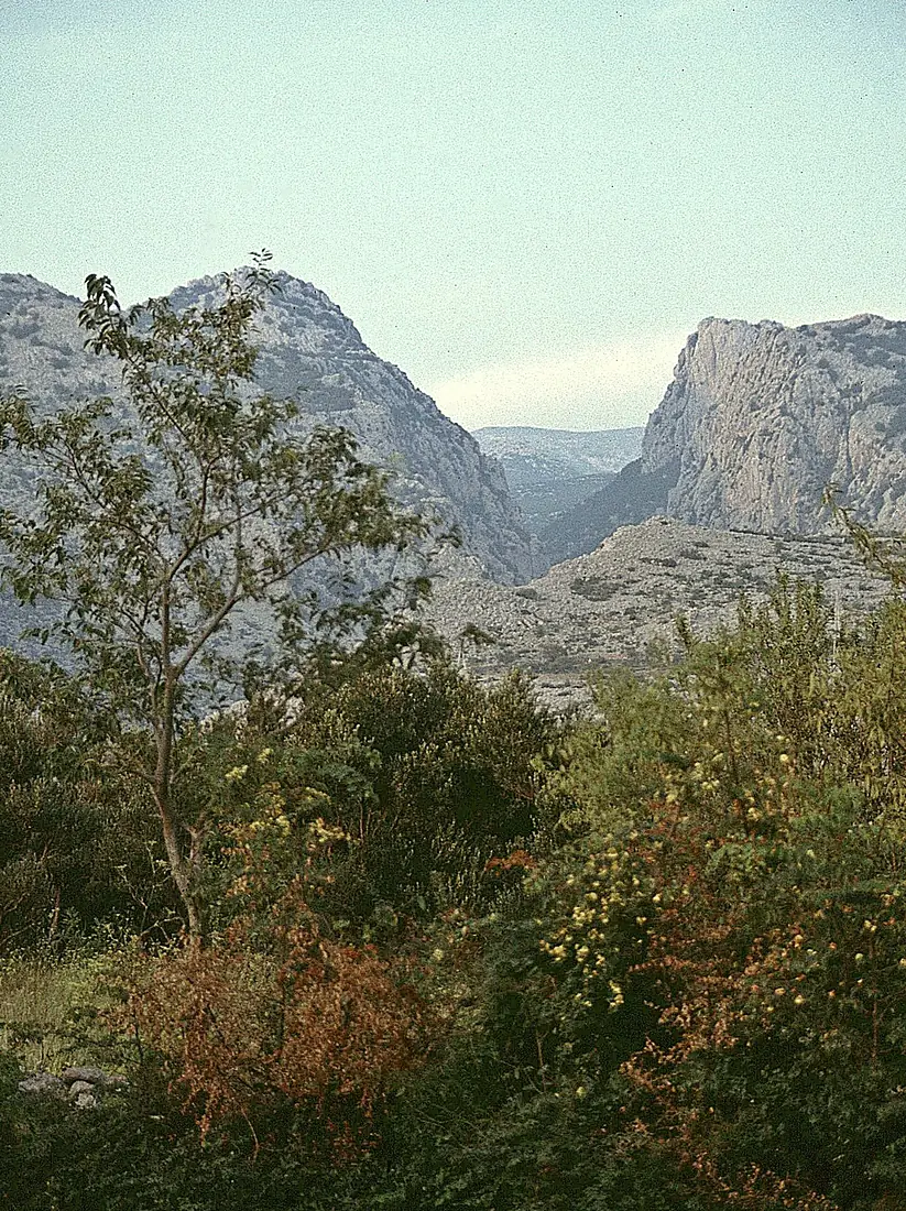 JuPaklenica1