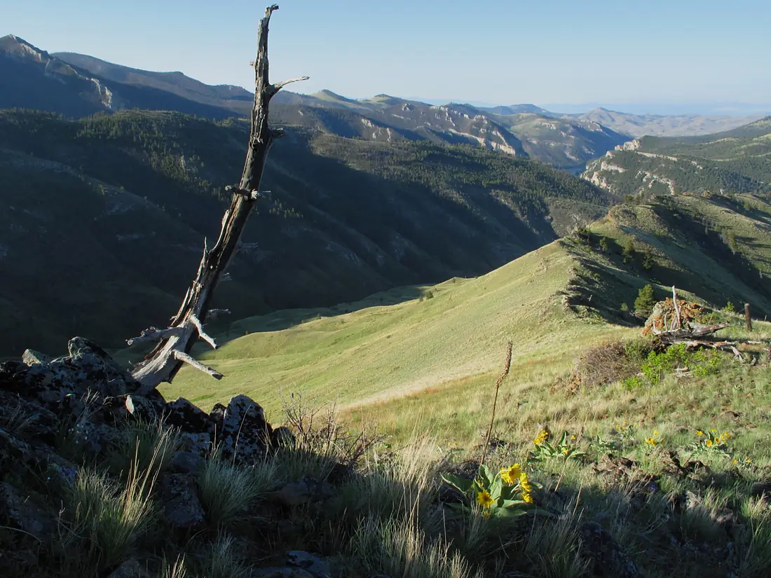 Looking down Mann Gulch on left (8902721589)