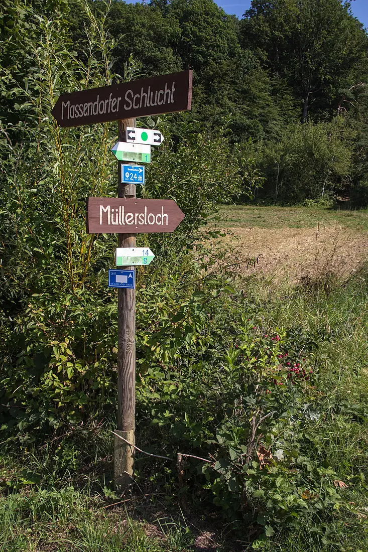 Massendorfer Schlucht 01