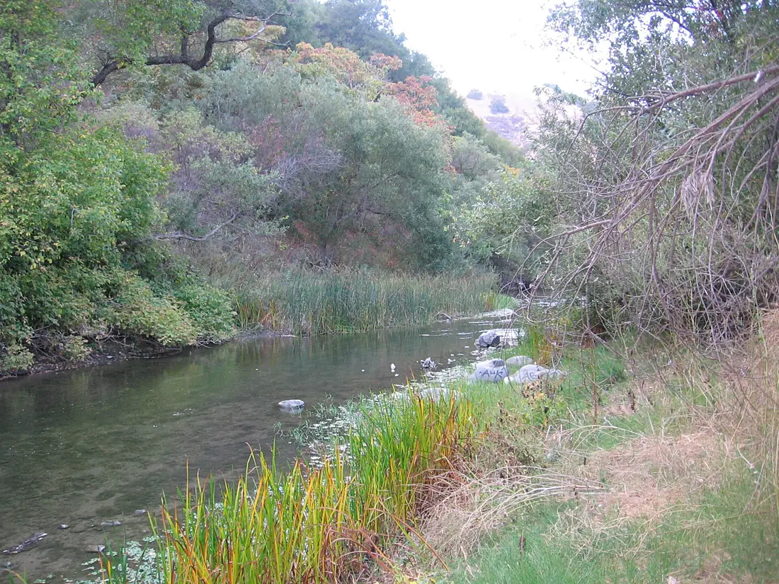 Alameda Creek in Niles Canyon 2626