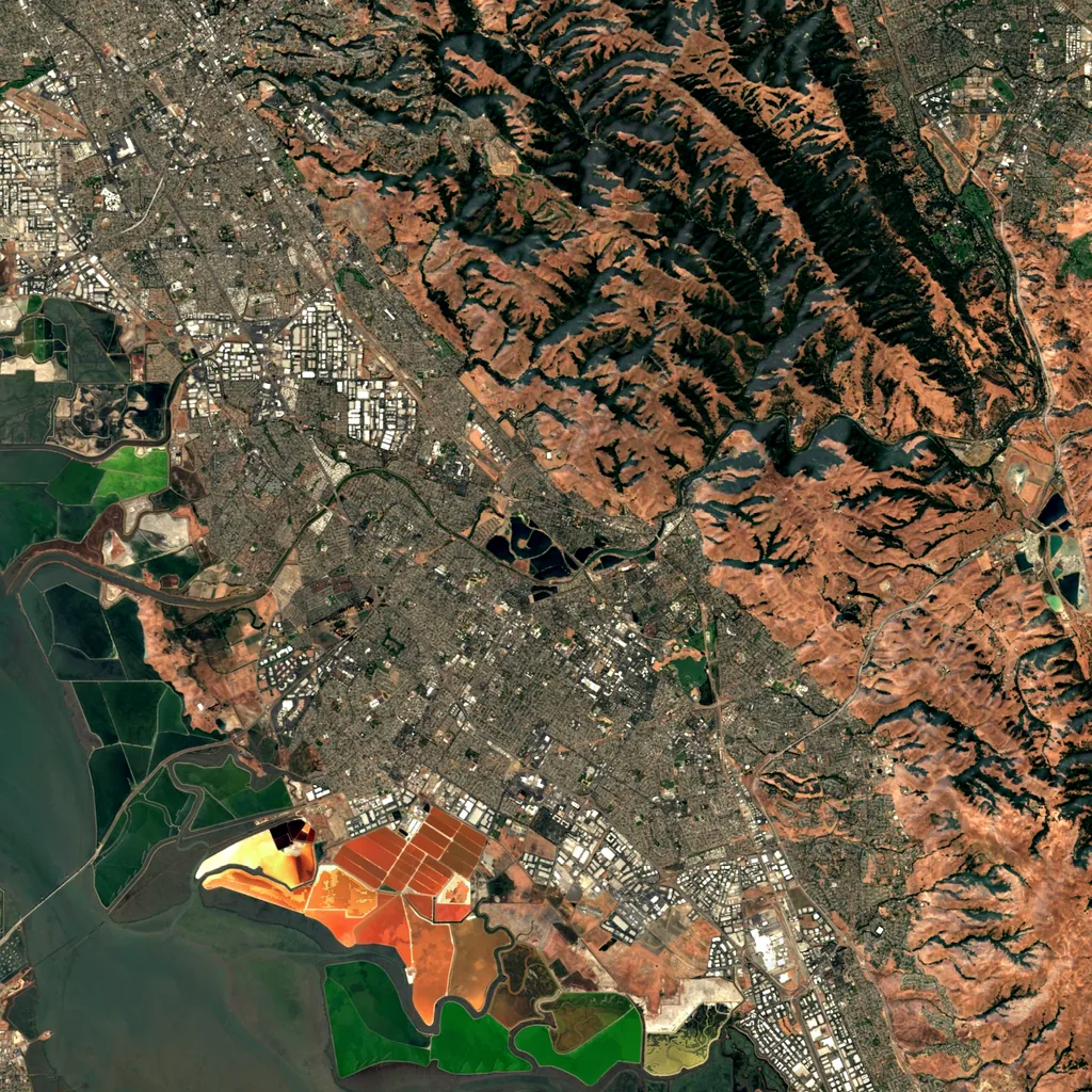 Niles Canyon seen from above (Sentinel-2)