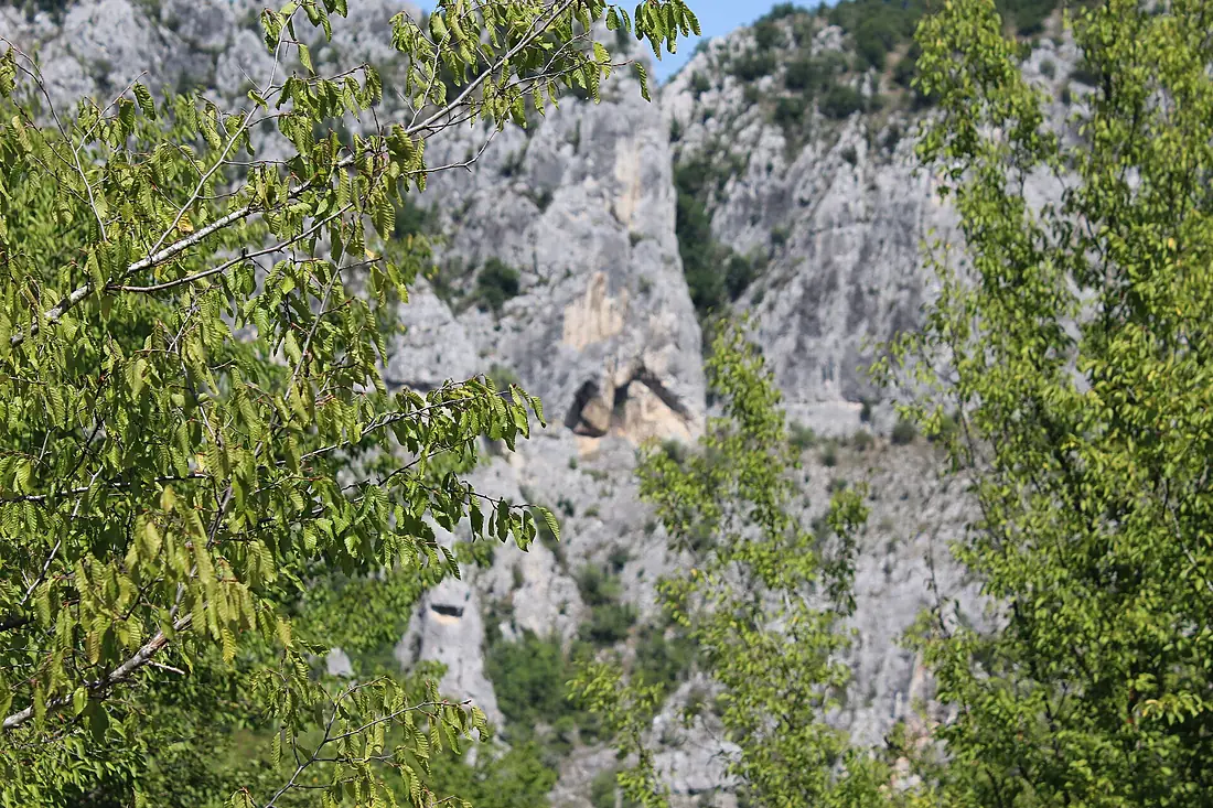 Nisevac 00