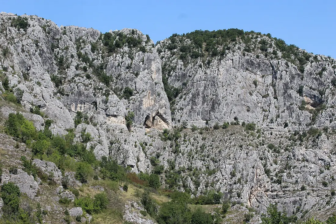 Nisevac 01