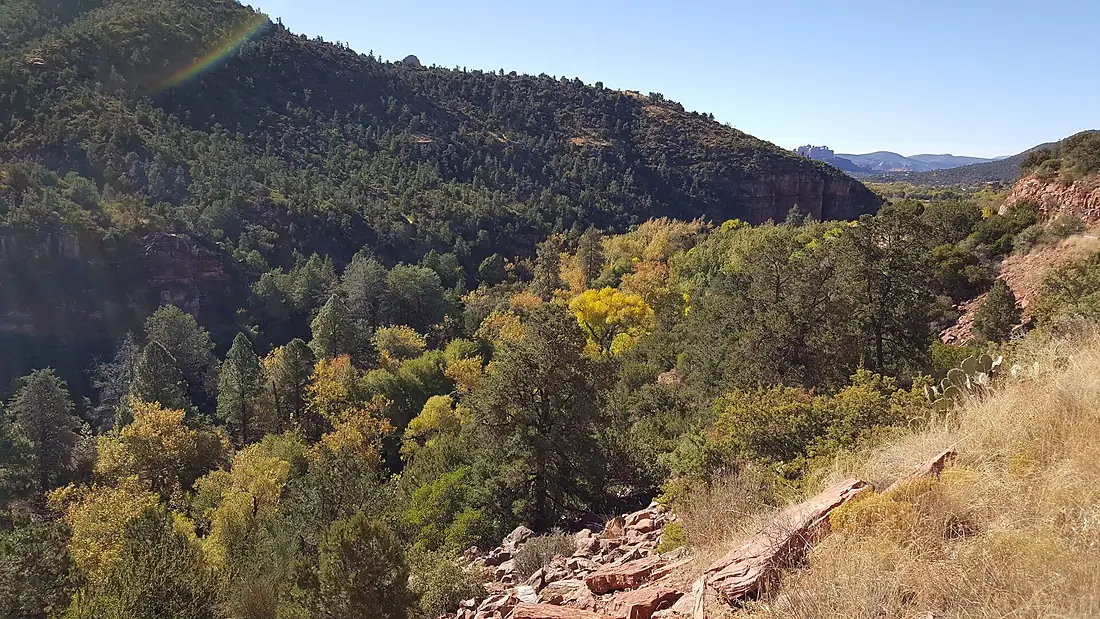 Fall Color in Oak Creek Canyon (November 8, 2017) (24414381628)