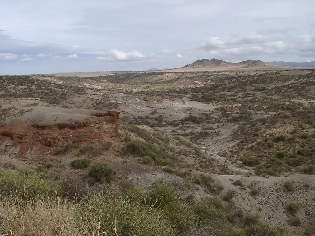Oldupai-3