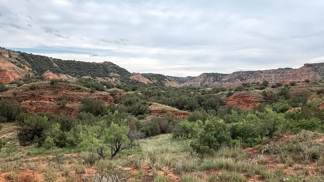 USA - Texas - Palo Duro Canyon State Park - 52980256755