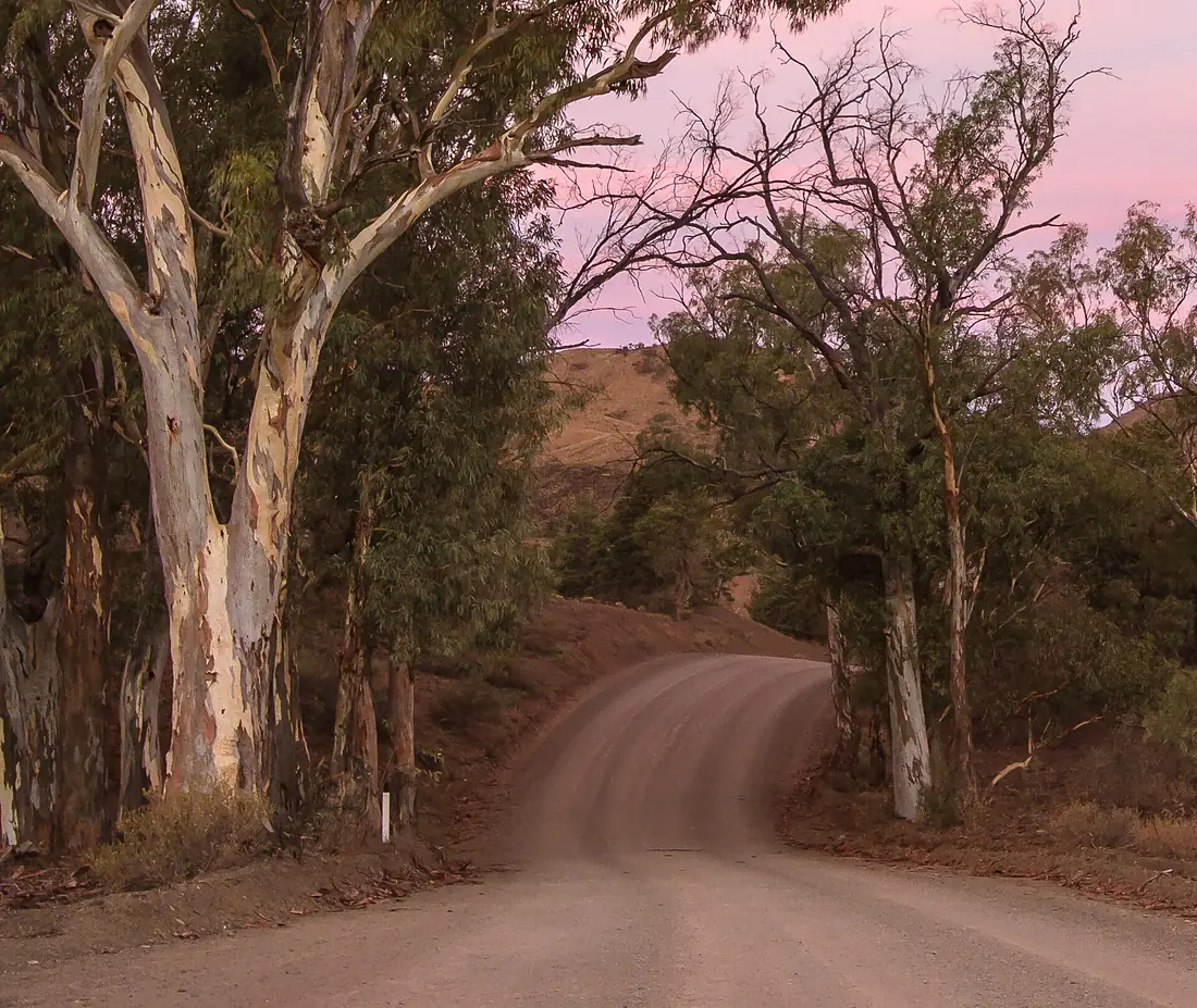Parachilna Gorge, Flinders Ranges - South Australia (2)