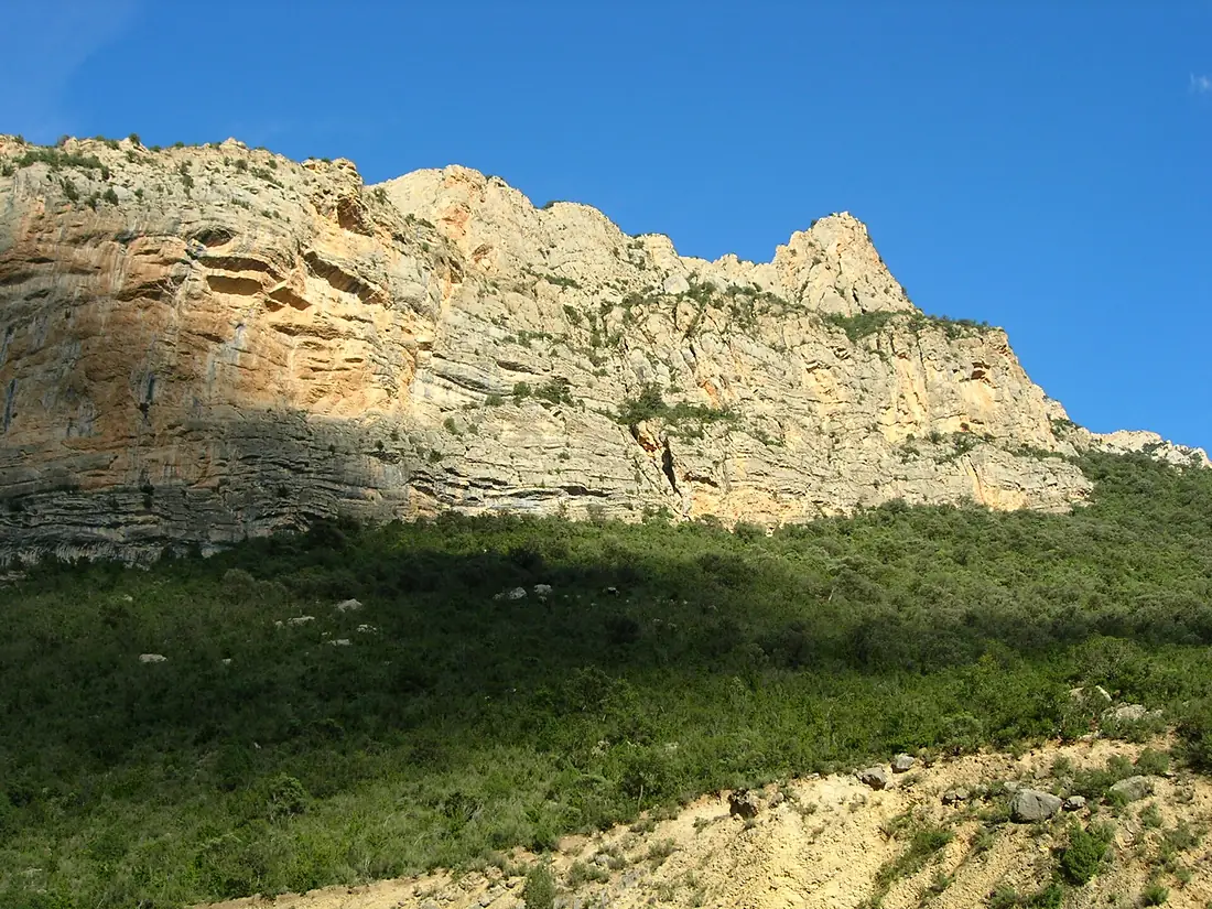 07 Terradets, lo Peladet