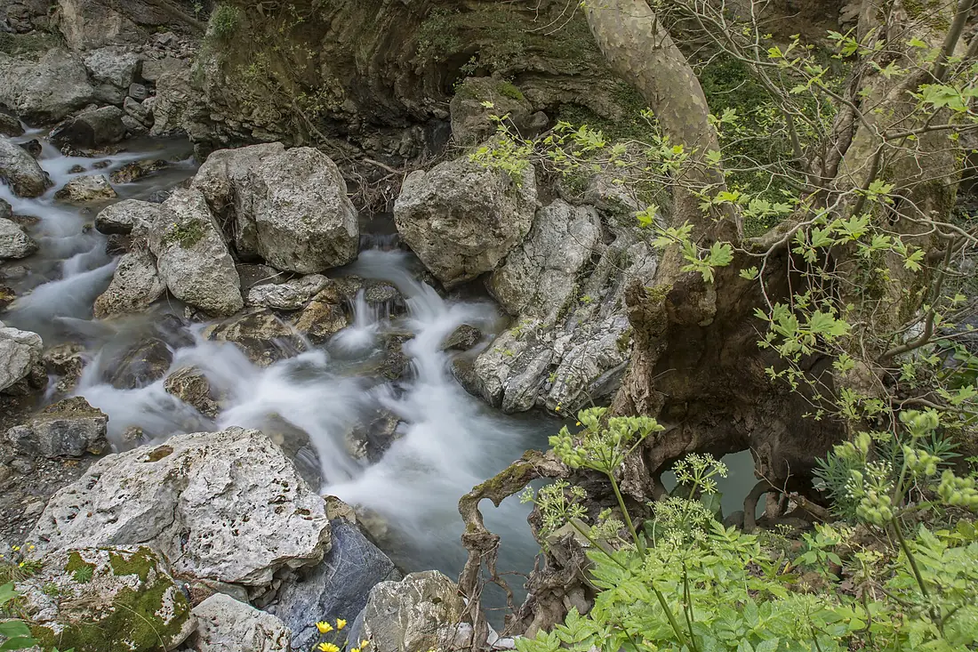 Patsos gorge
