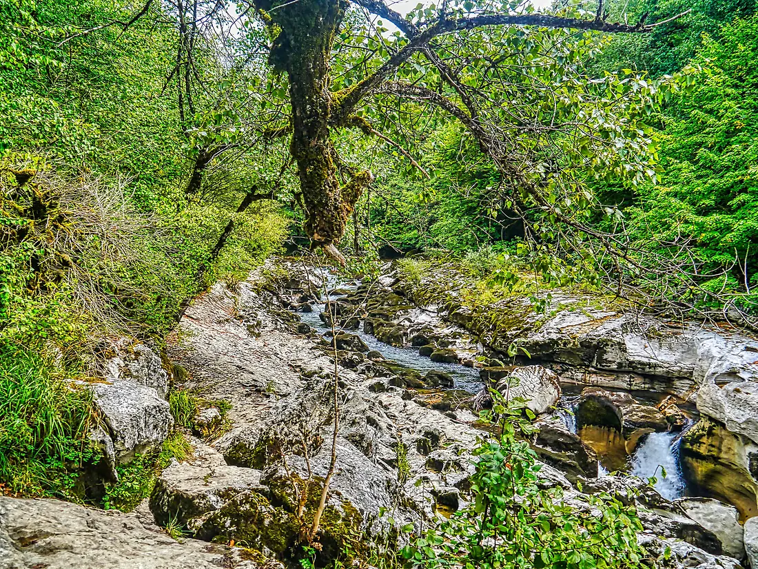 Bellegarde-sur-Valserine Perthes de la Valserine 01