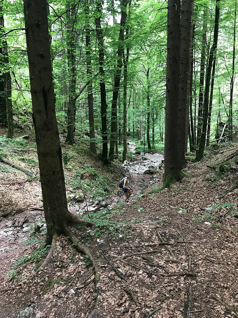 Slovenia (29022822097)