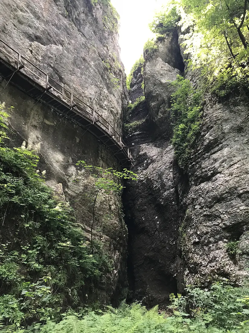 Slovenia (30085411568)