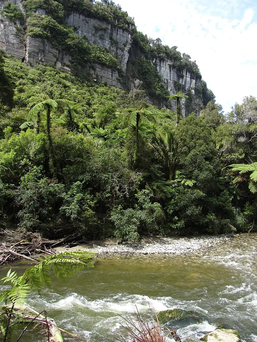 Paparoa cliffs & Pororari river (6706336367)