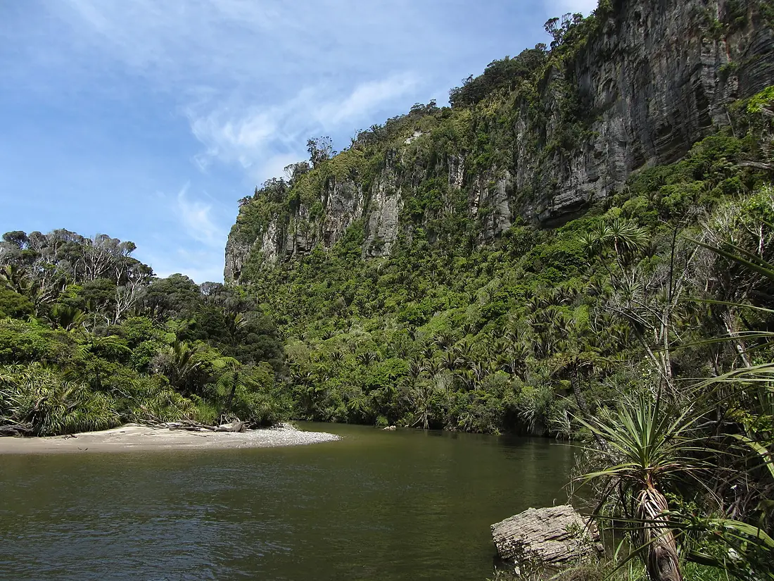 Pororari River (6706334193)