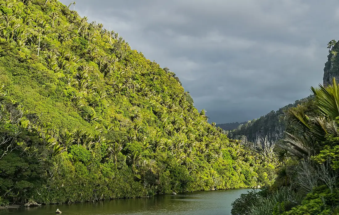 Pororari River 01