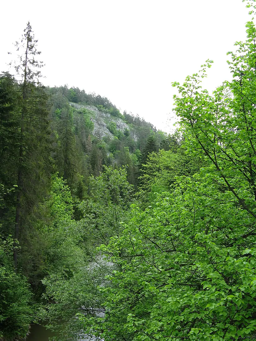 Hornad Gorge