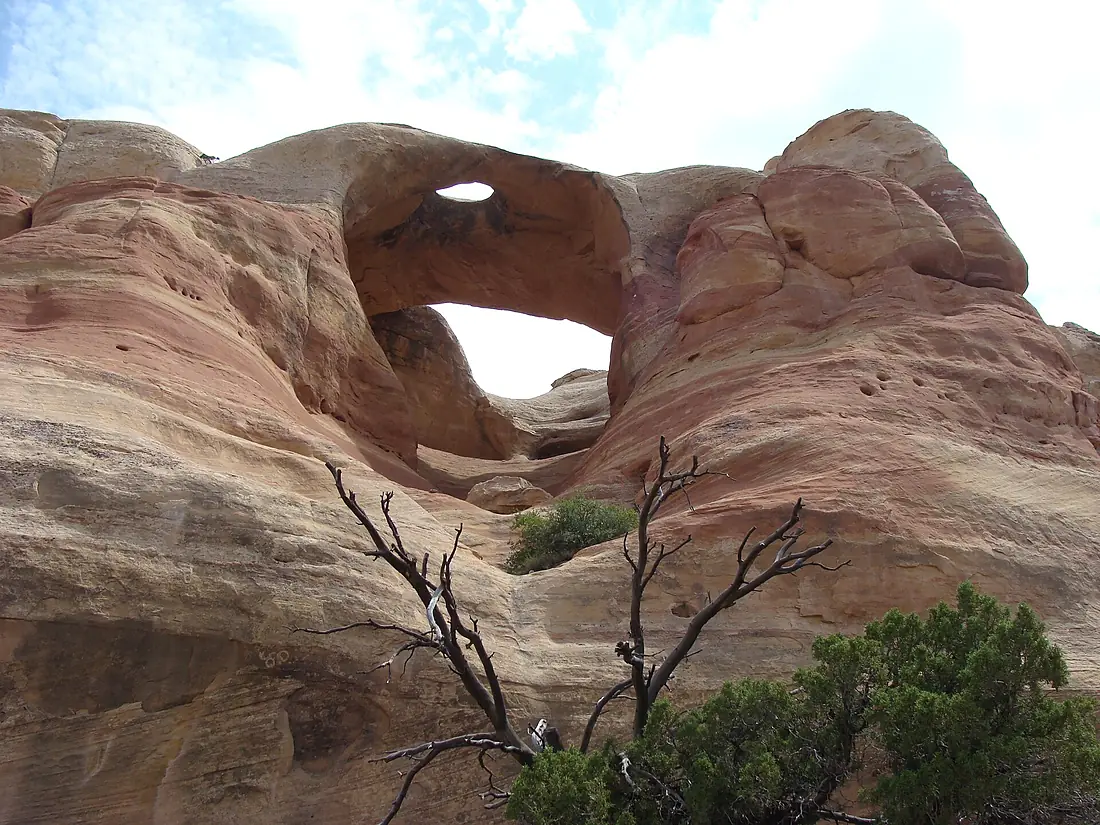 Rattlesnake Arches (14701276434)