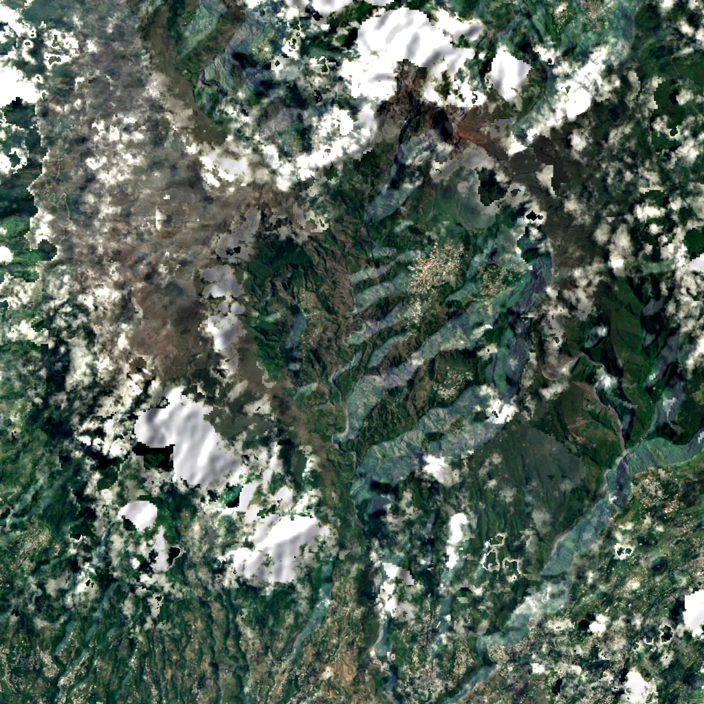 Ravine Fleurs Jaunes seen from above (Sentinel-2)