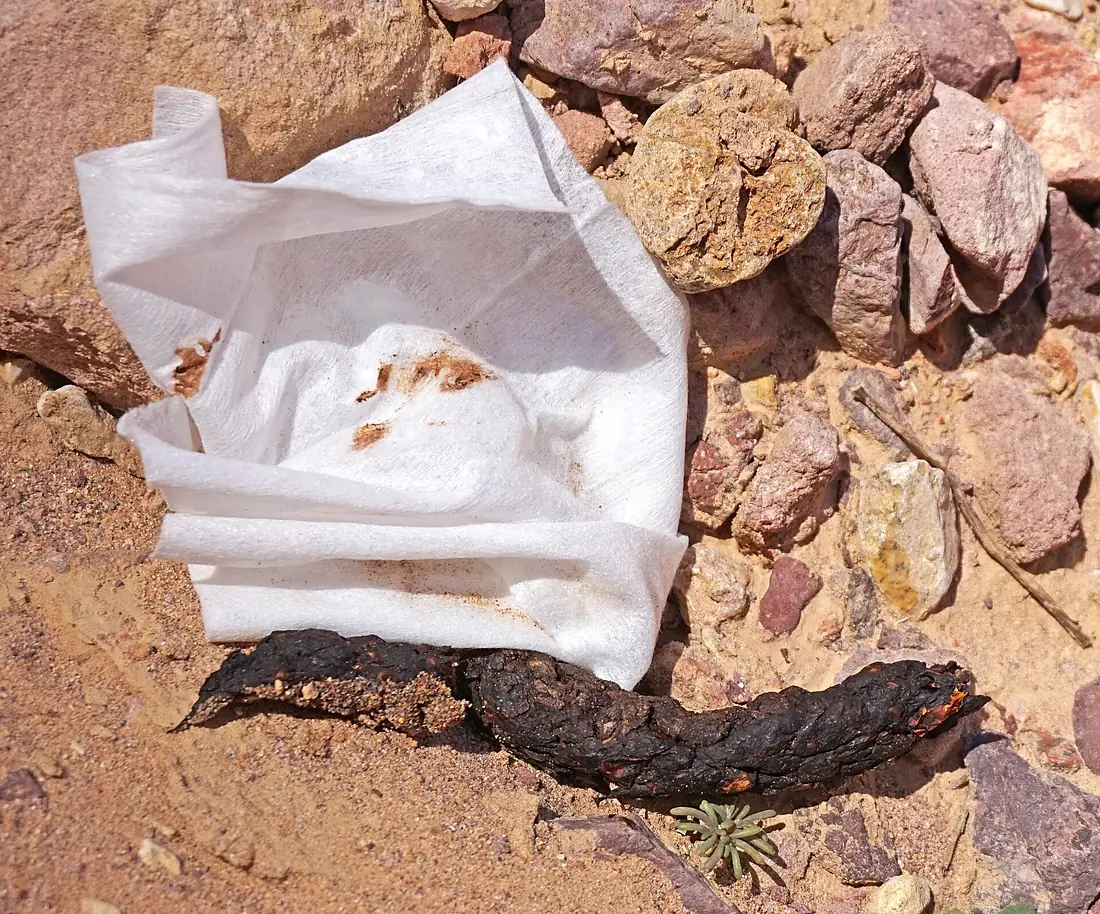 Feces in Red Canyon