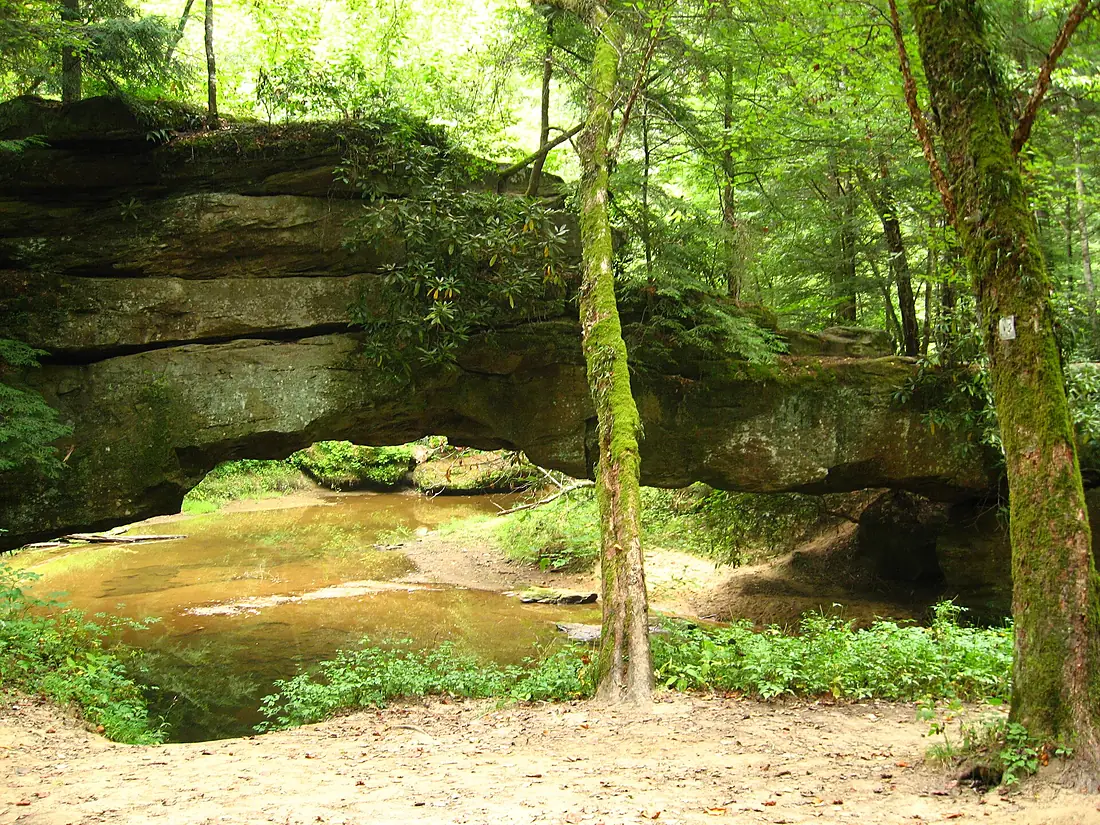 RRG Rock Bridge