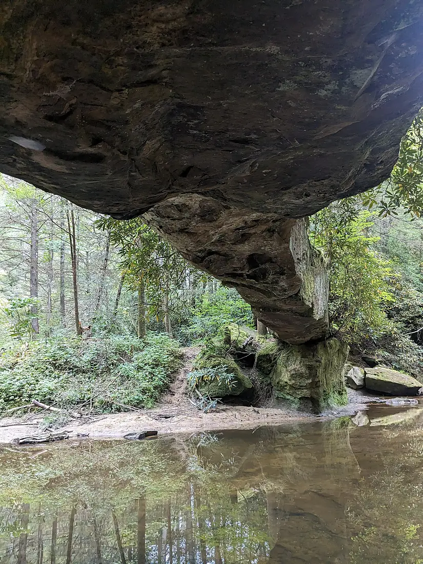 Rock Bridge Underside, Red River Gorge, Kentucky, USA
