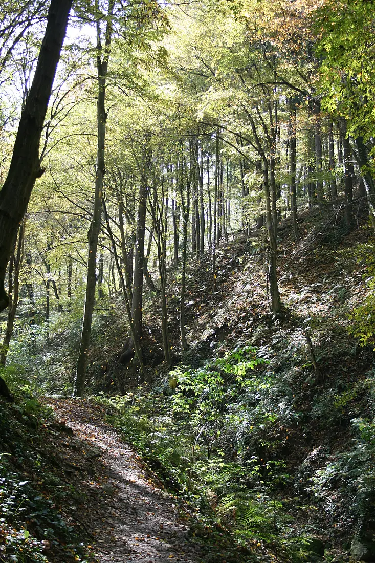 Graz Rettenbachklamm