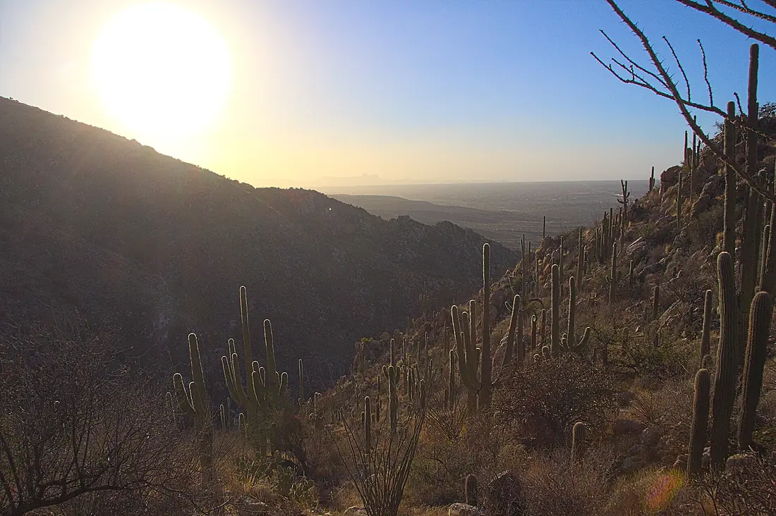 Romero Canyon (31596772011)