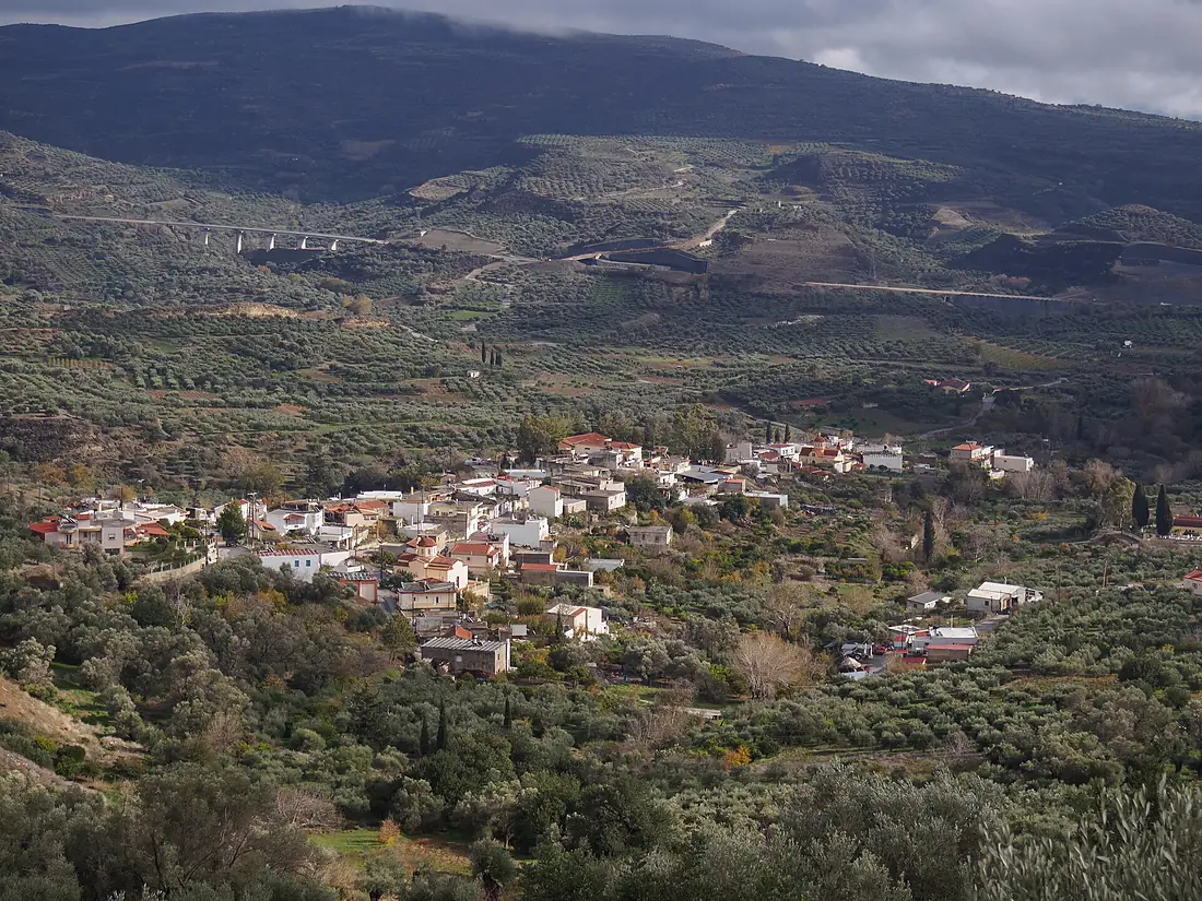 Καρδαμιανά 4531