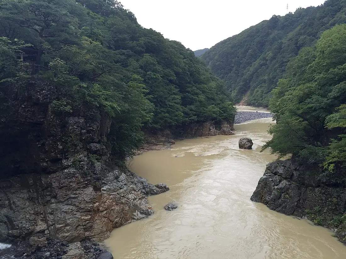 20160830 Ryuokyo 5827 (29353018963)