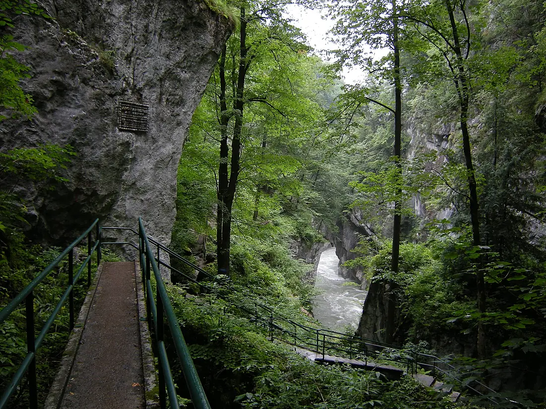Salzach2379