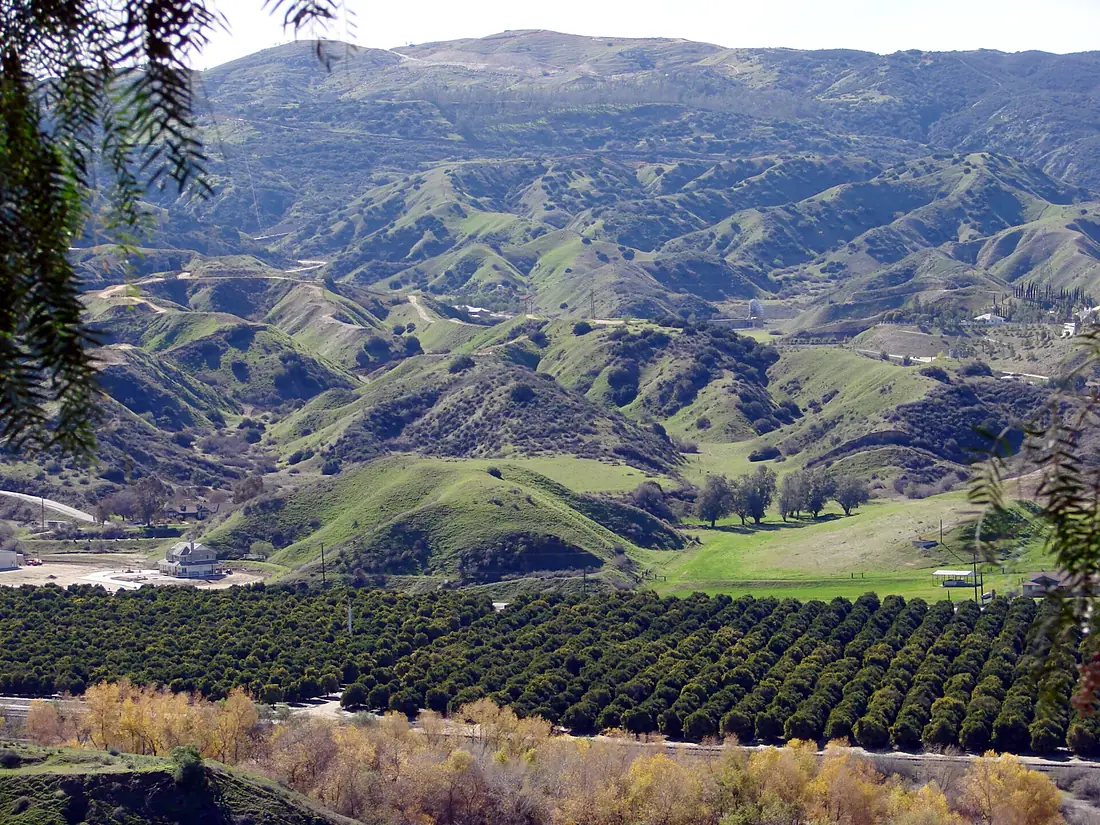 San Timoteo Canyon Groves, Redlands, CA 8-2011 (6836926431)