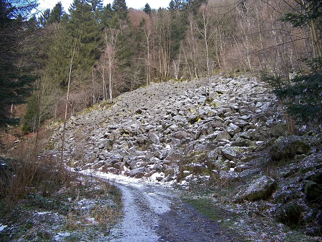 Blockhalde Saulochschlucht 1
