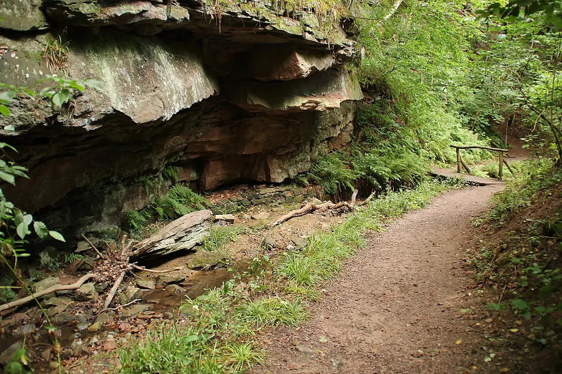 Seltenbachschlucht 1
