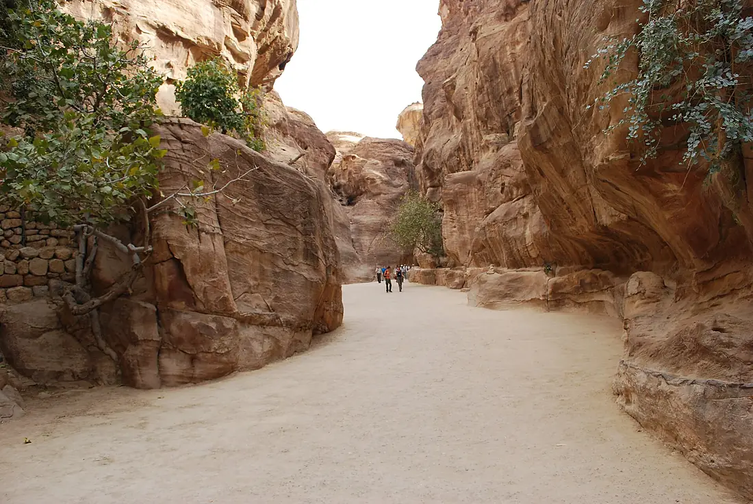 20100925 petra057
