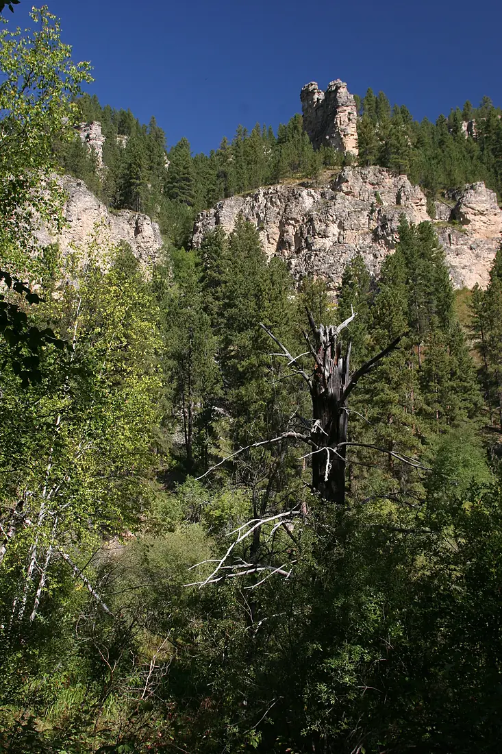 Black Hills (3917949588)