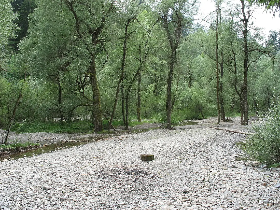Flussbett im Auslauf der Starzlachklamm - panoramio