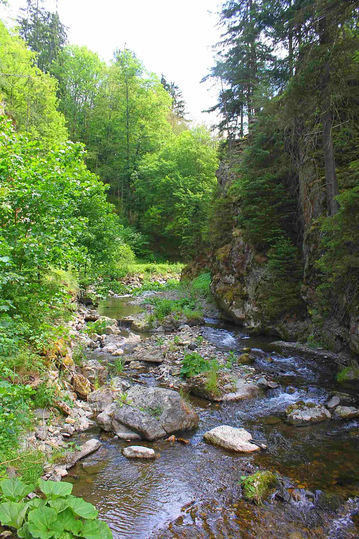 Steinachklamm 2