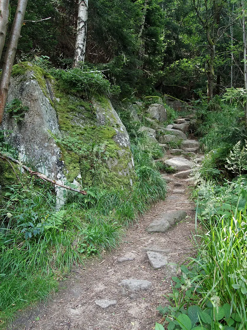 Steinerne Renne (11)