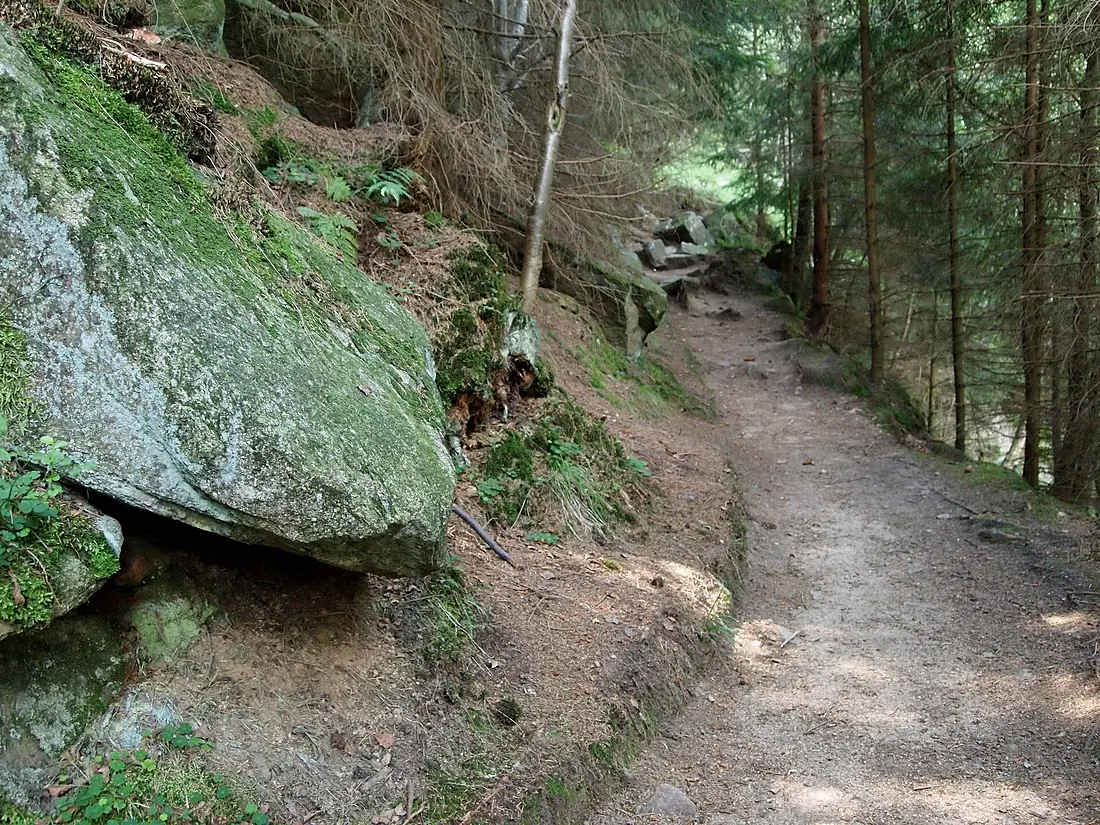 Steinerne Renne (12)