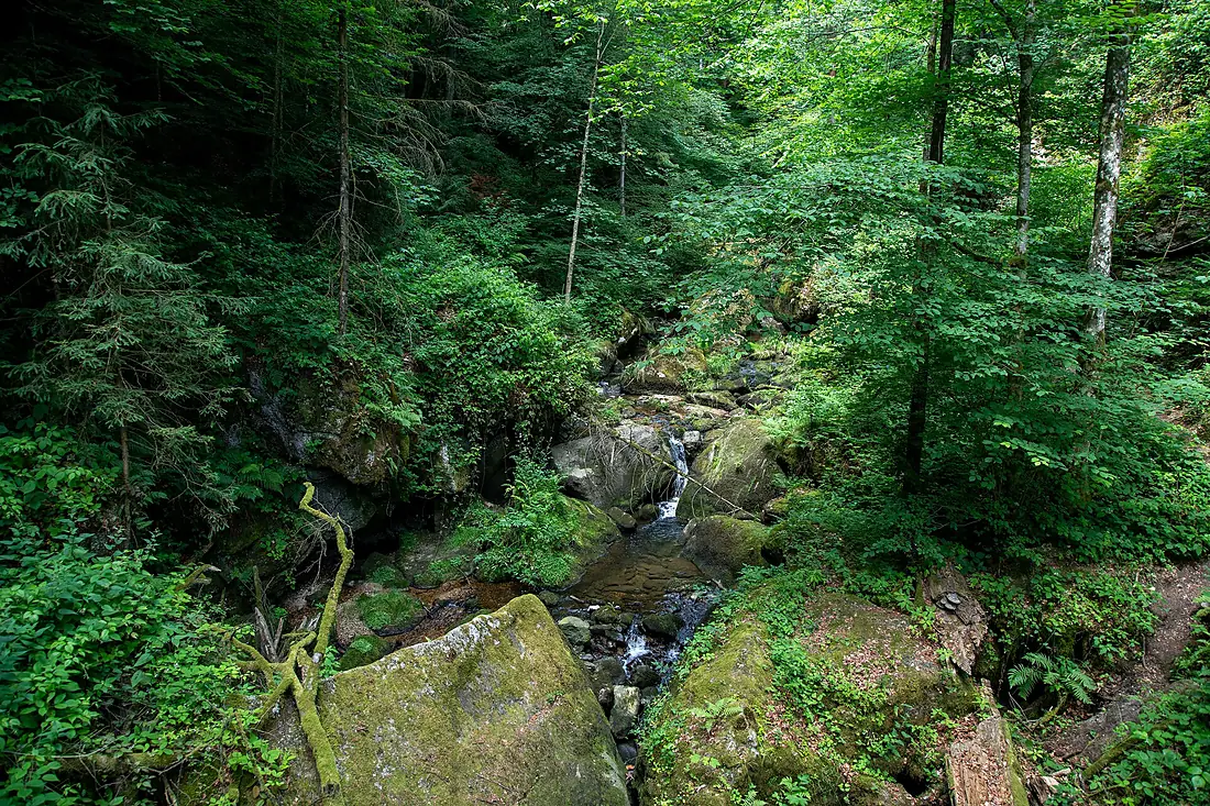 Stillensteinklamm Gießenbach Versickerung