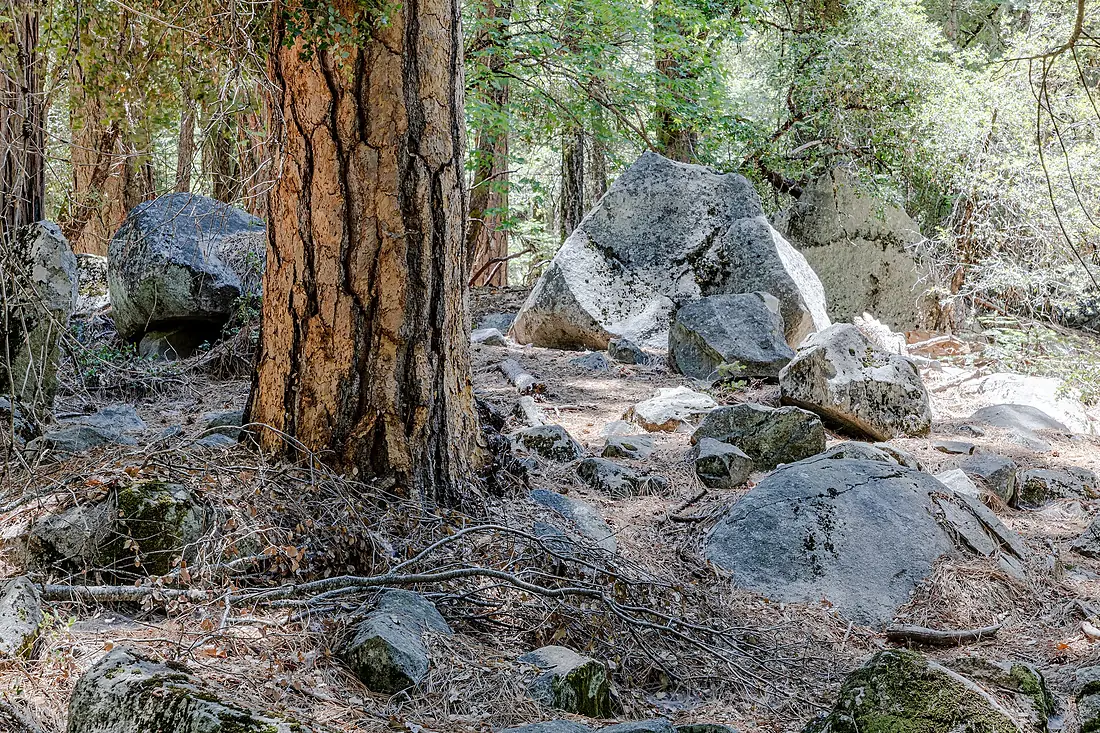 Yosemite National Park (CA, USA), Yosemite Valley, Tenaya Canyon -- 2022 -- 2791-5