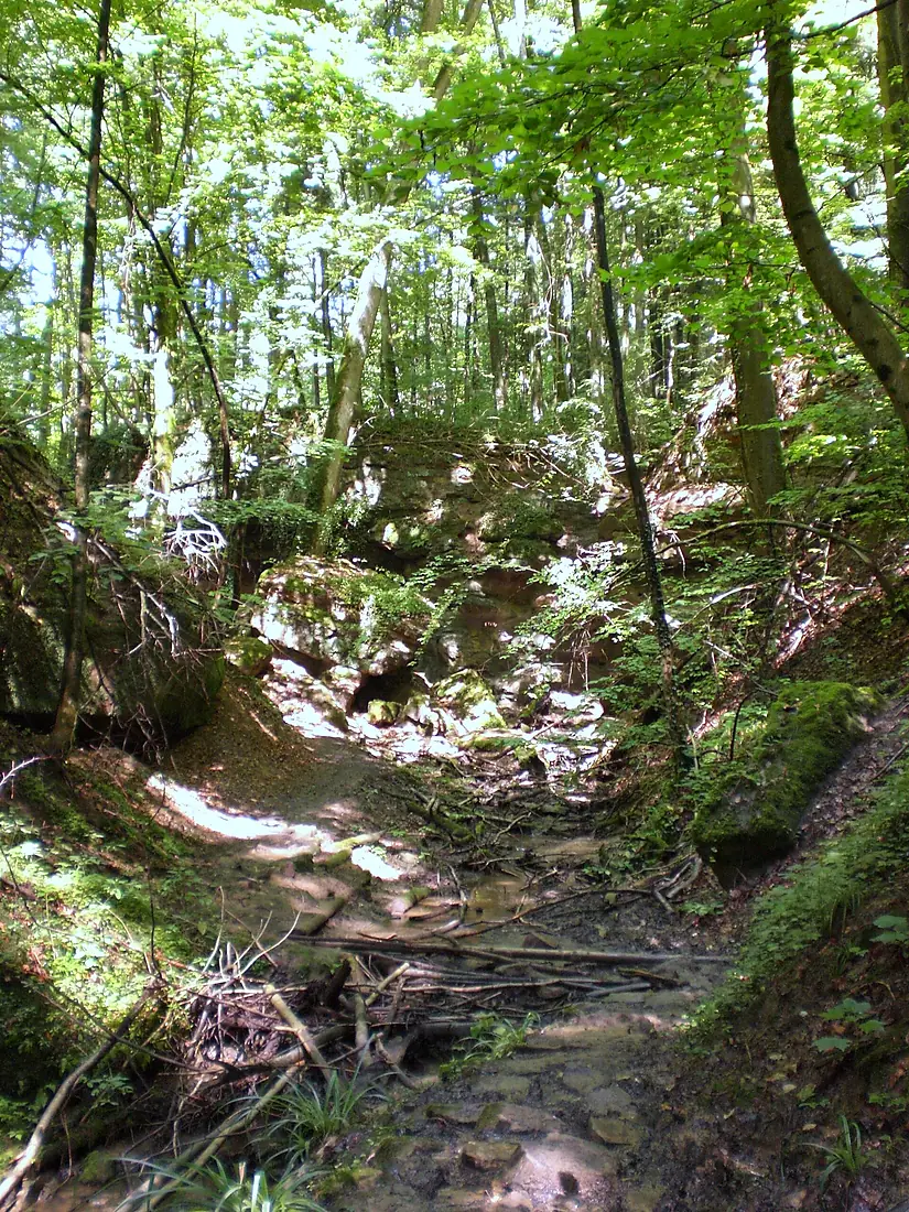Teufelskirche von Grünsberg Schlucht 1