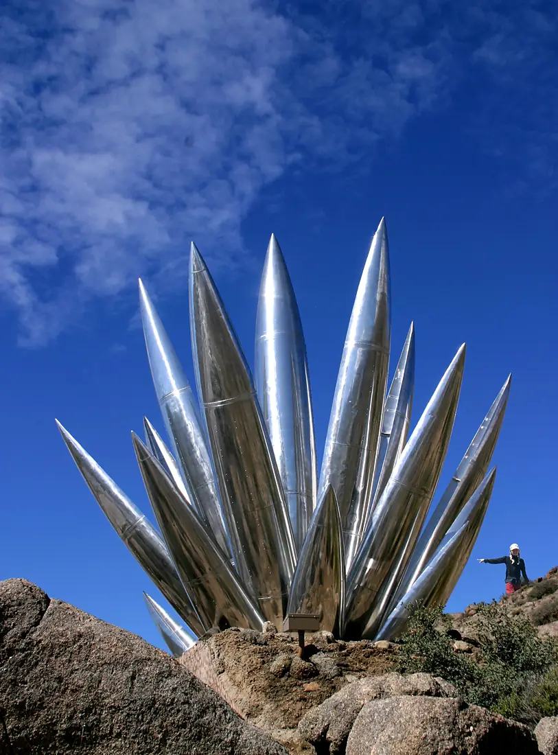Aluminum Yucca - Gordon Huether