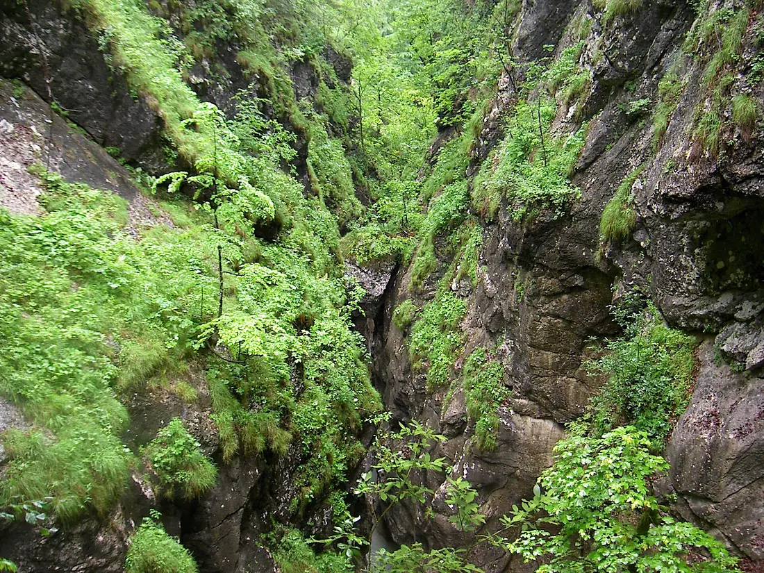 Meetup2008 IKAL Tscheppaschlucht2