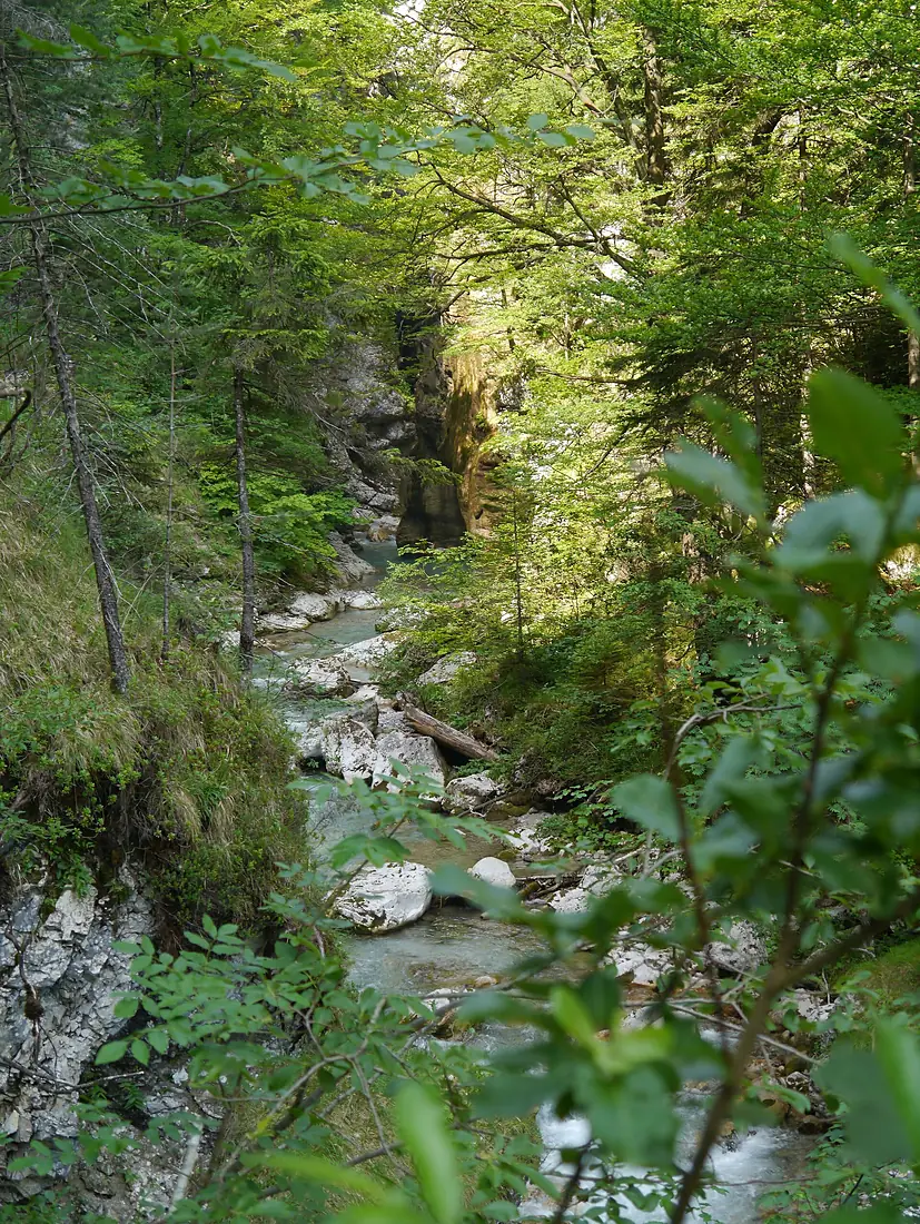 Steiermark Tscheppaschlucht 01