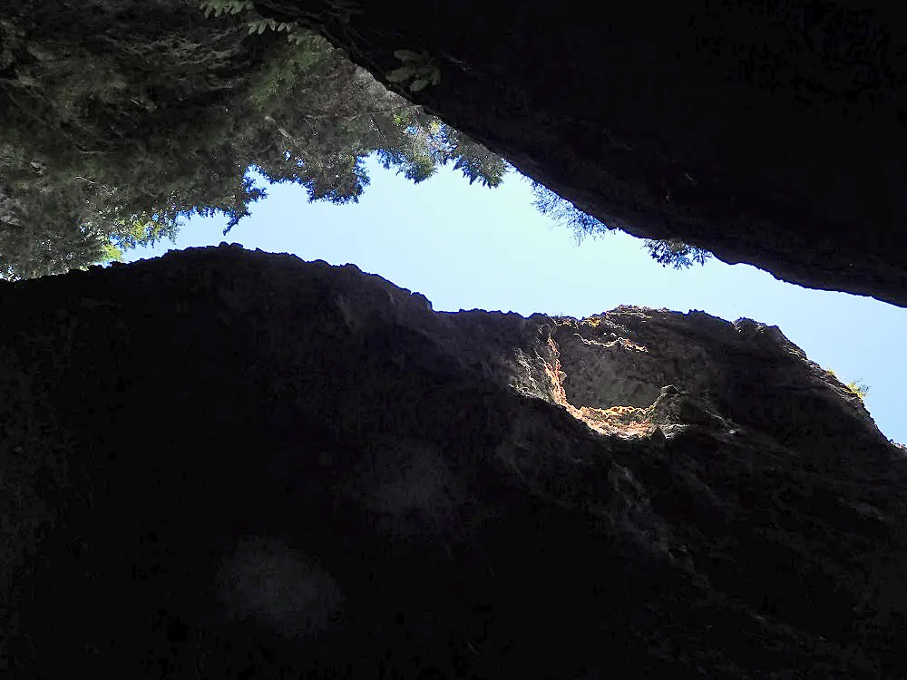 Looking straight up inside Valhalla, Willamette National Forest (24446510943)