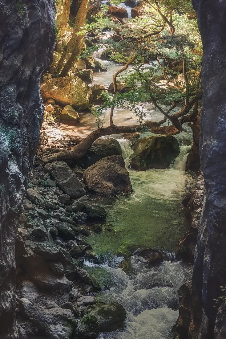 Light in the canyon